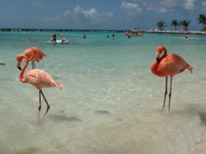 Aruba Renaissance Island